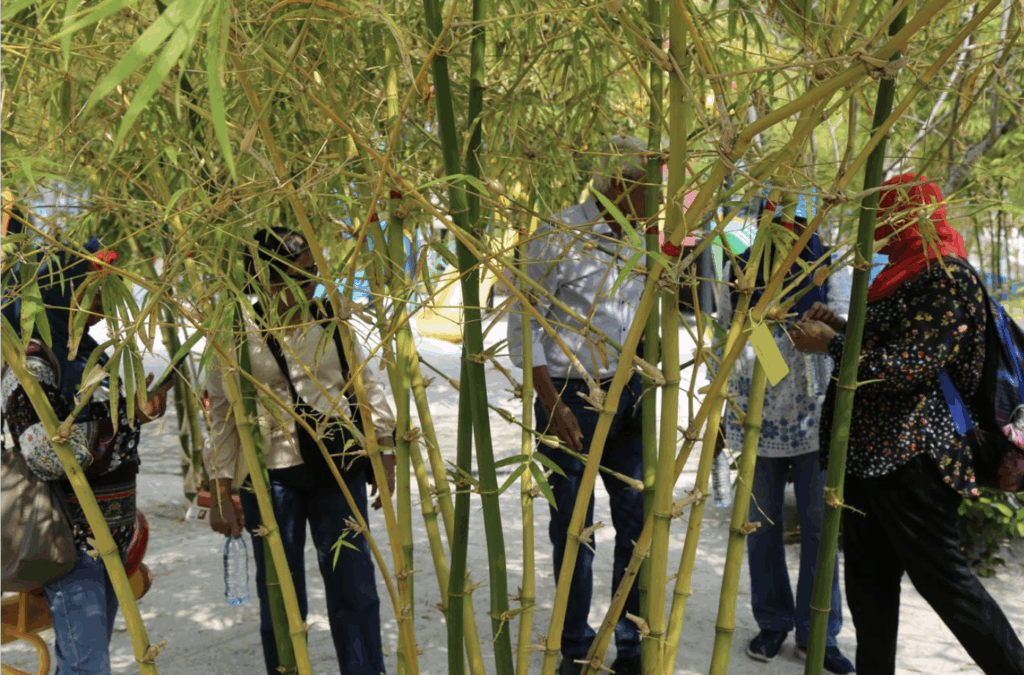 Understanding Bamboo project MNU